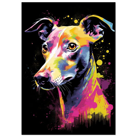 Whippet dog pop art (DOG315)