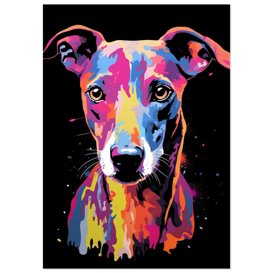 Whippet dog pop art (DOG316)