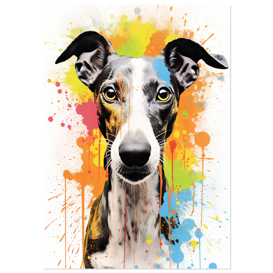 Whippet dog pop art (DOG317)