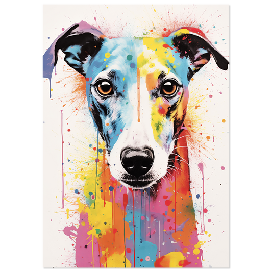 Whippet dog pop art (DOG318)