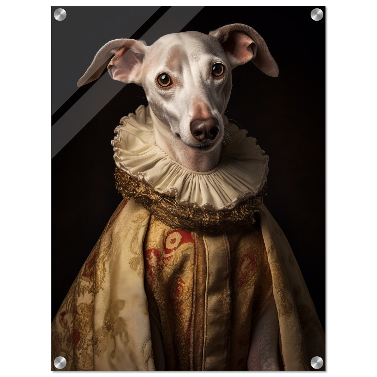 Whippet dog renaissance (DOG322)