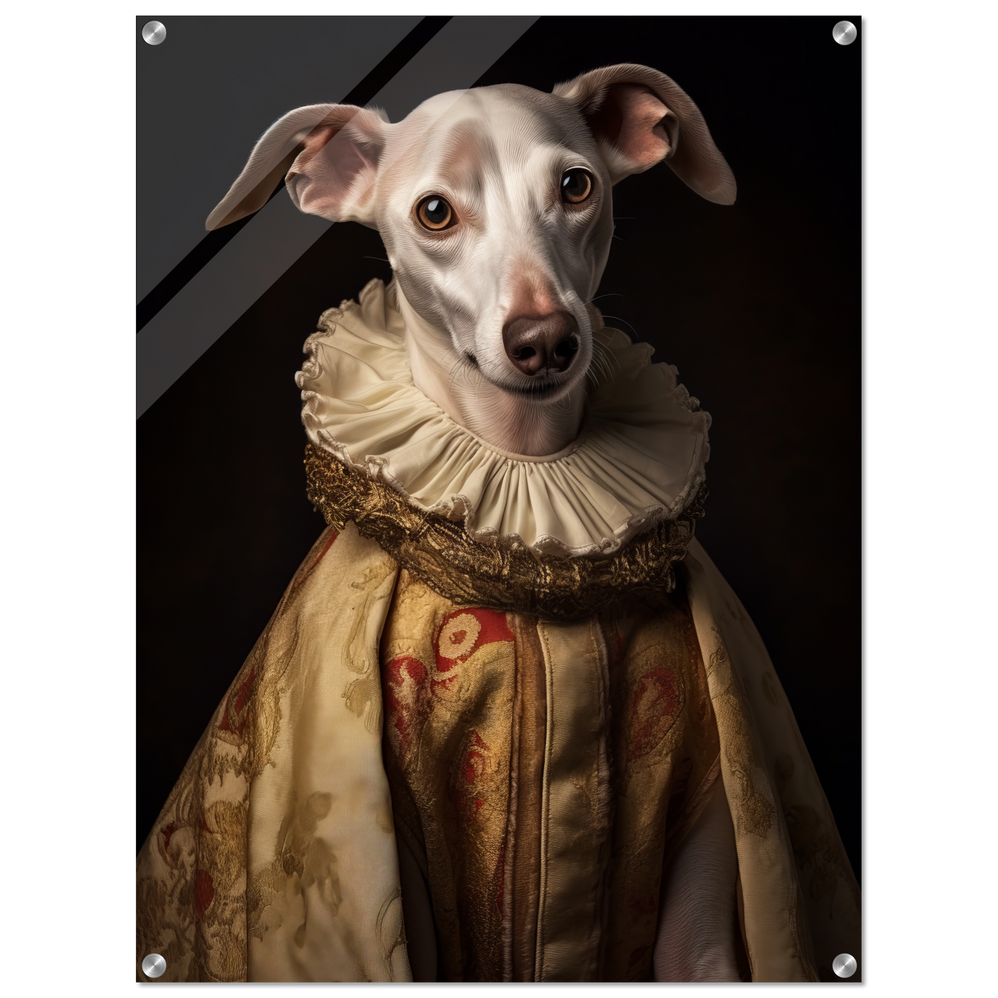 Whippet dog renaissance (DOG322)