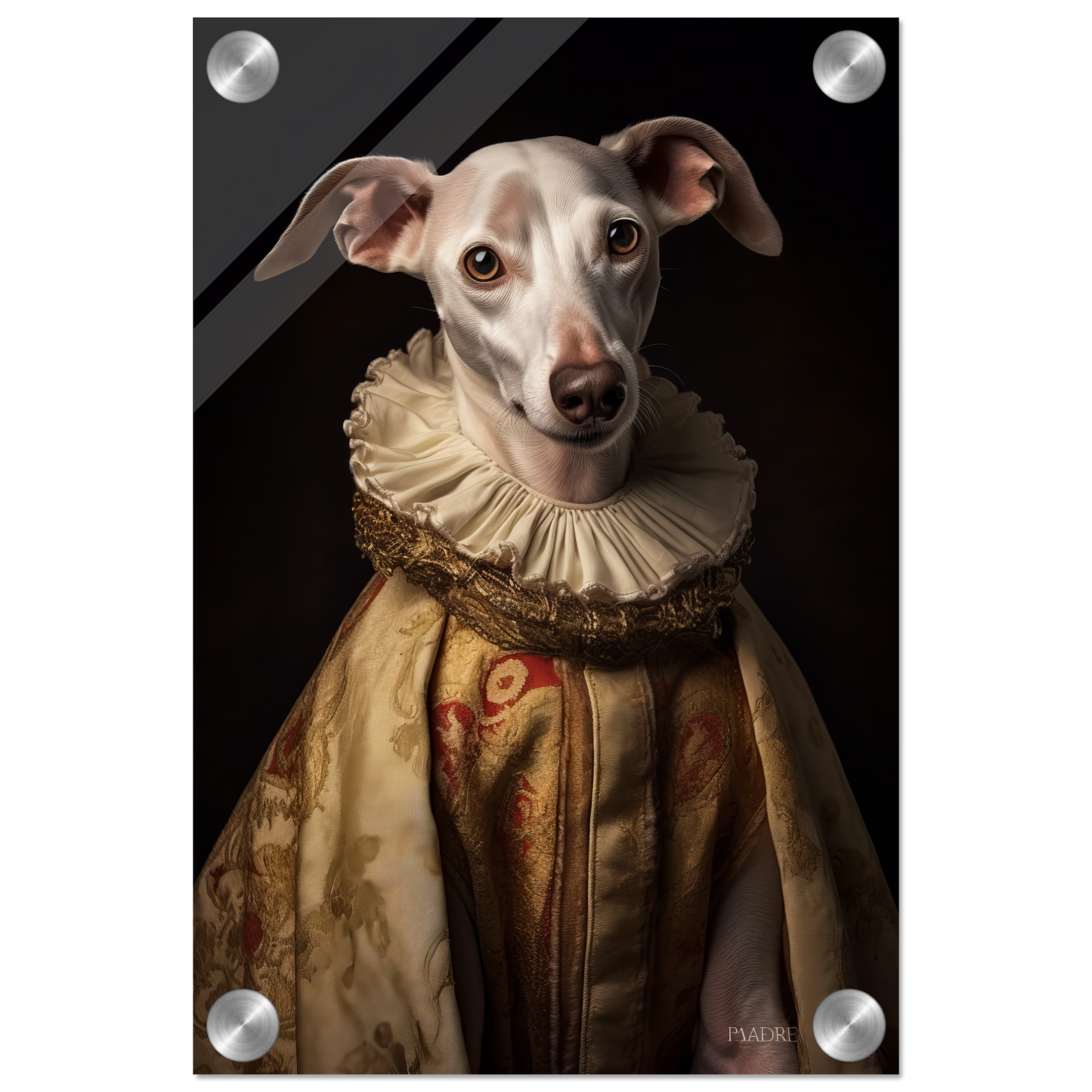Whippet dog renaissance (DOG322)