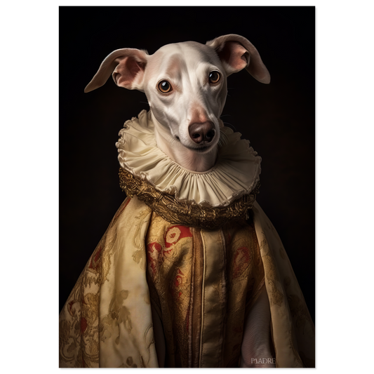 Whippet dog renaissance (DOG322)