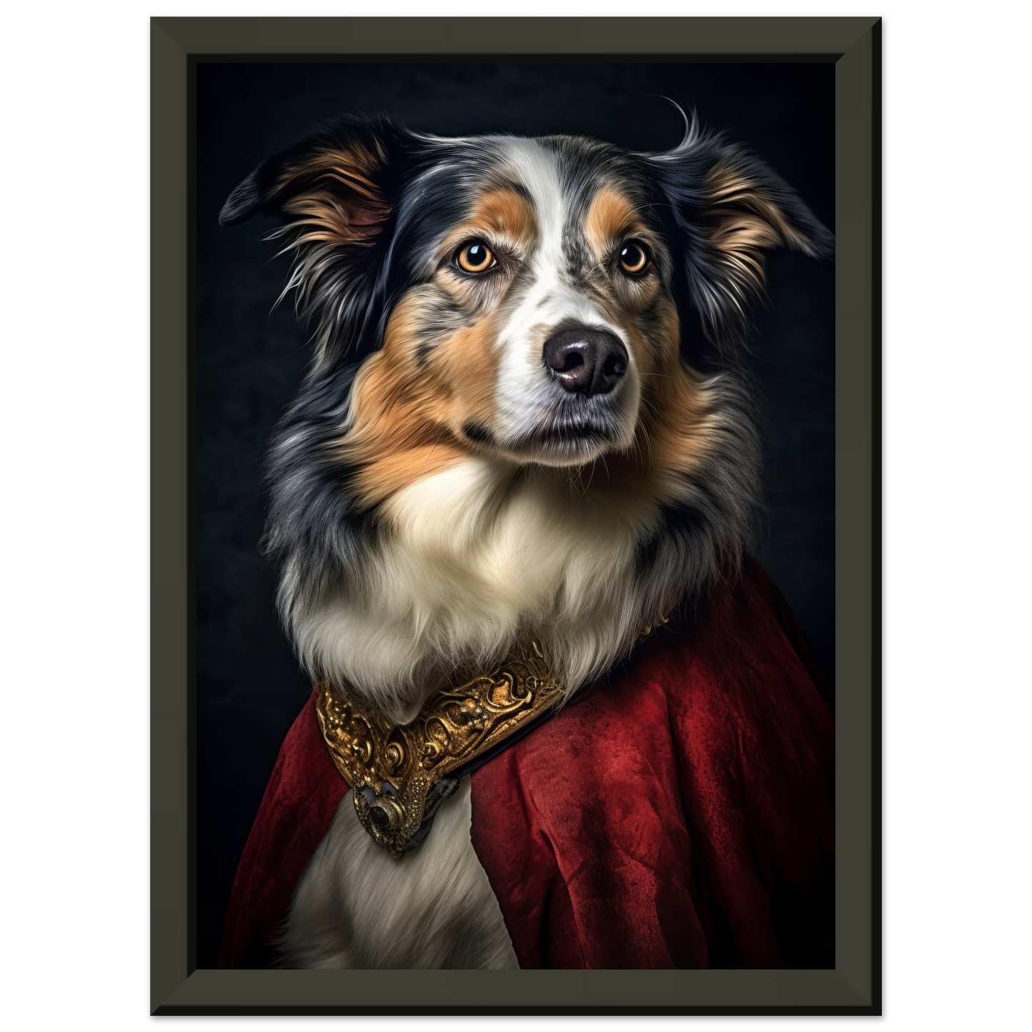 Australia Shepherd Renaissance (DOG333)