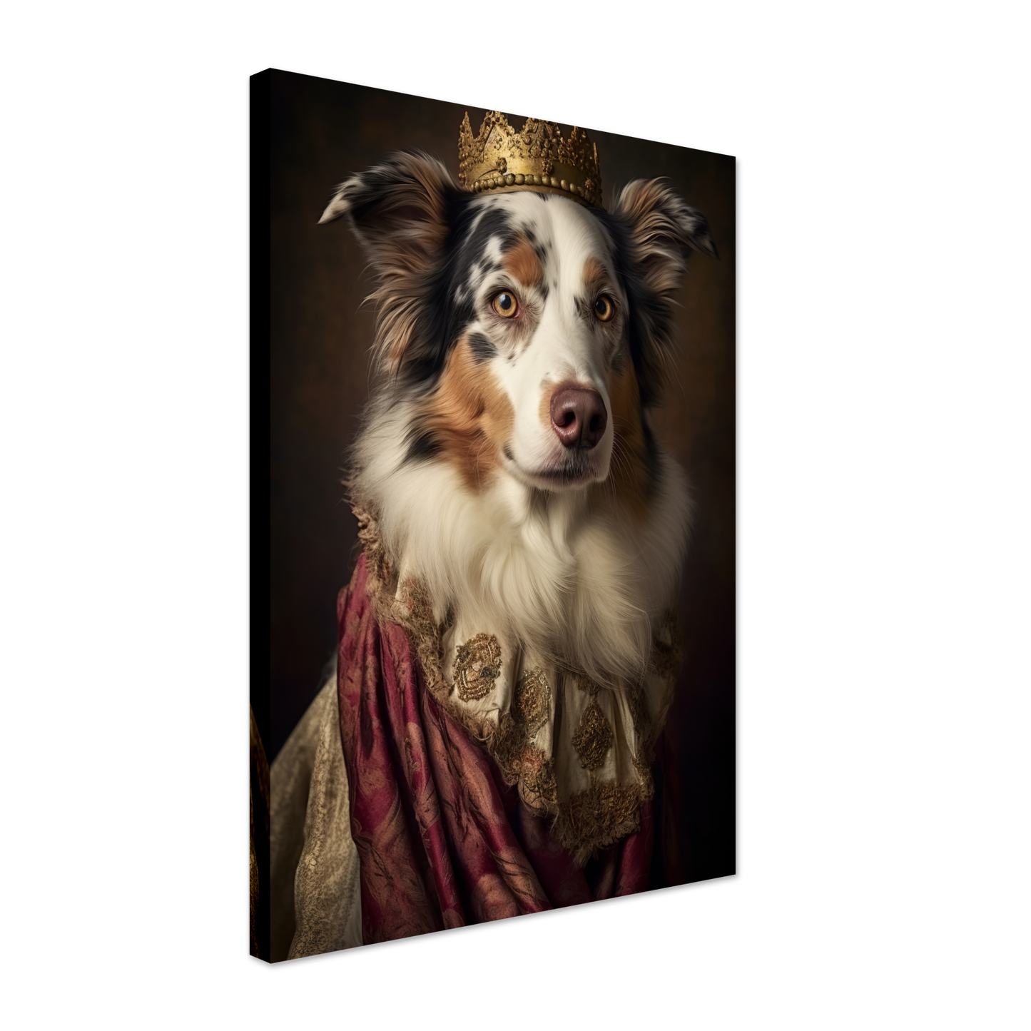 Australia Shepherd Renaissance (DOG335)