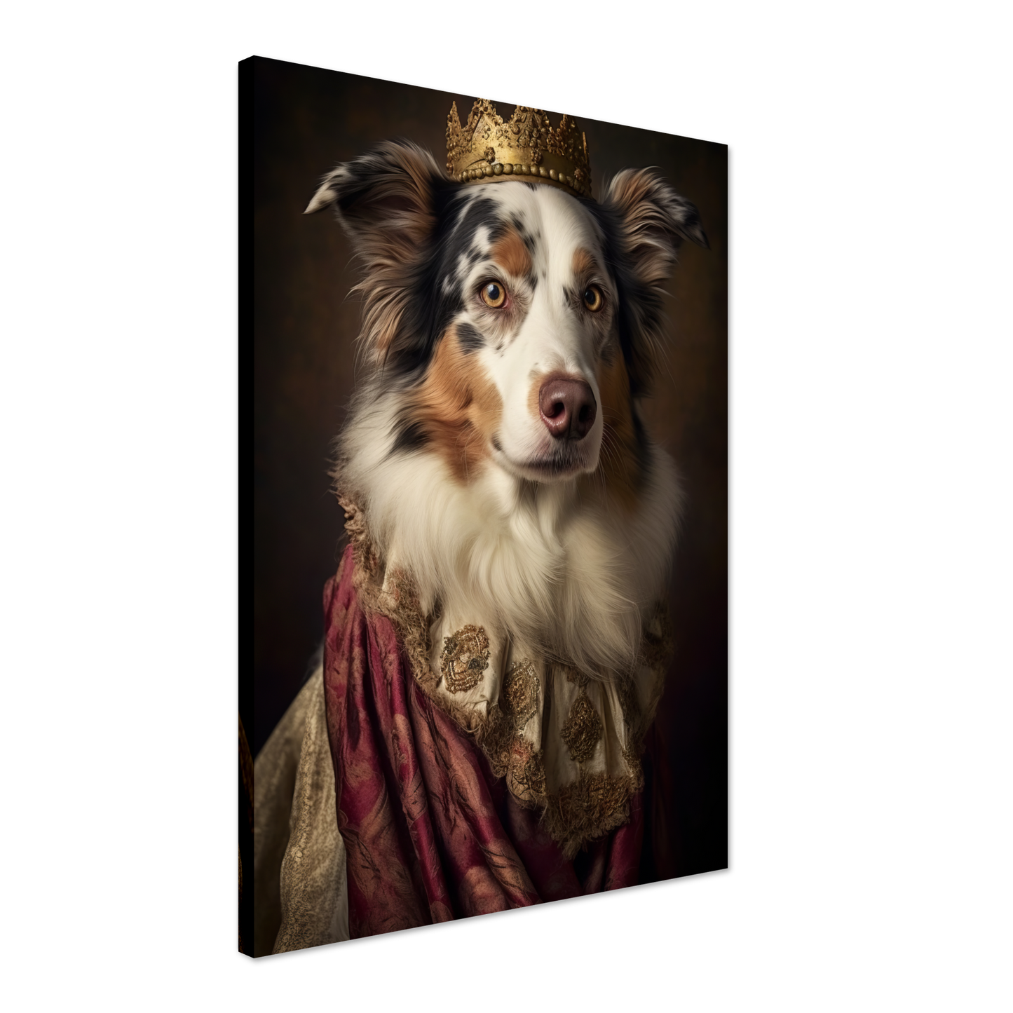 Australia Shepherd Renaissance (DOG335)