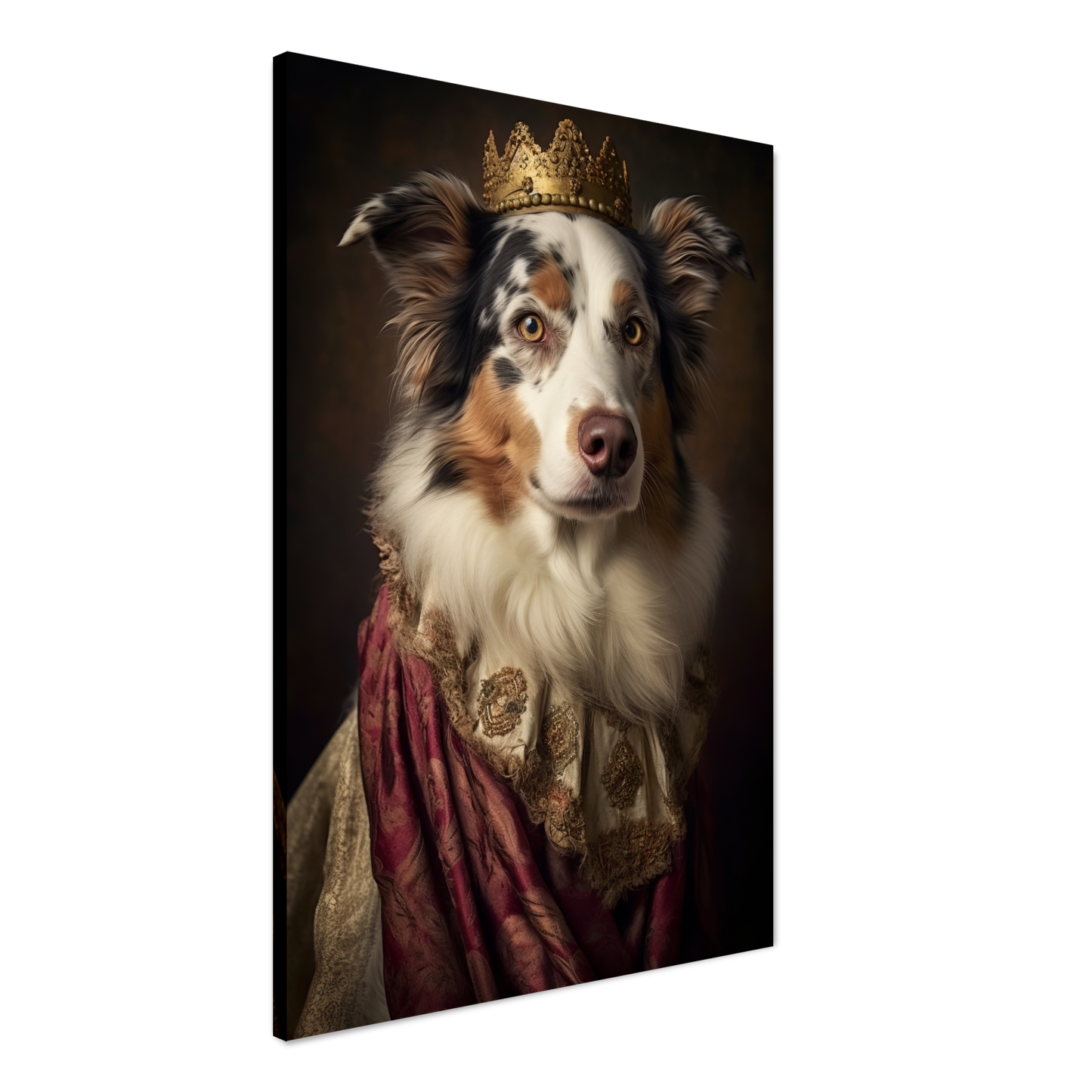 Australia Shepherd Renaissance (DOG335)