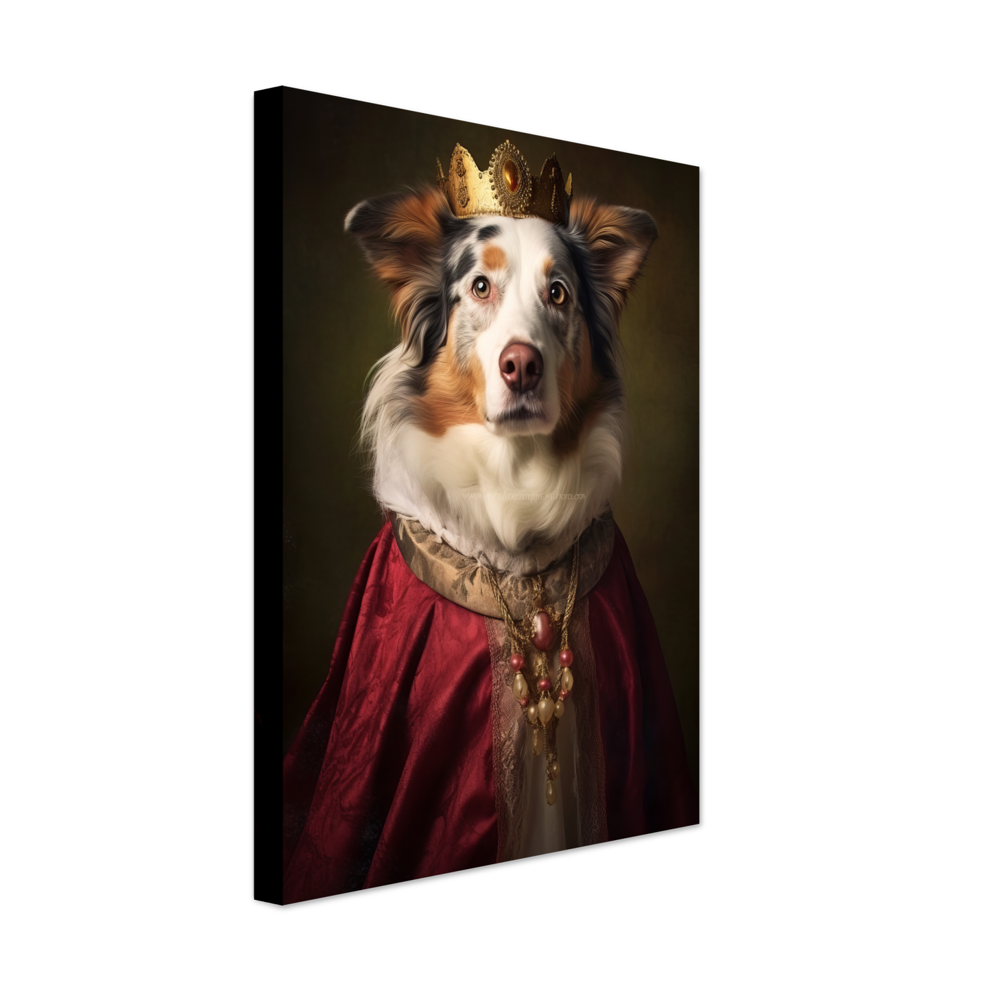 Australien Shepherd Renaissance (DOG336)
