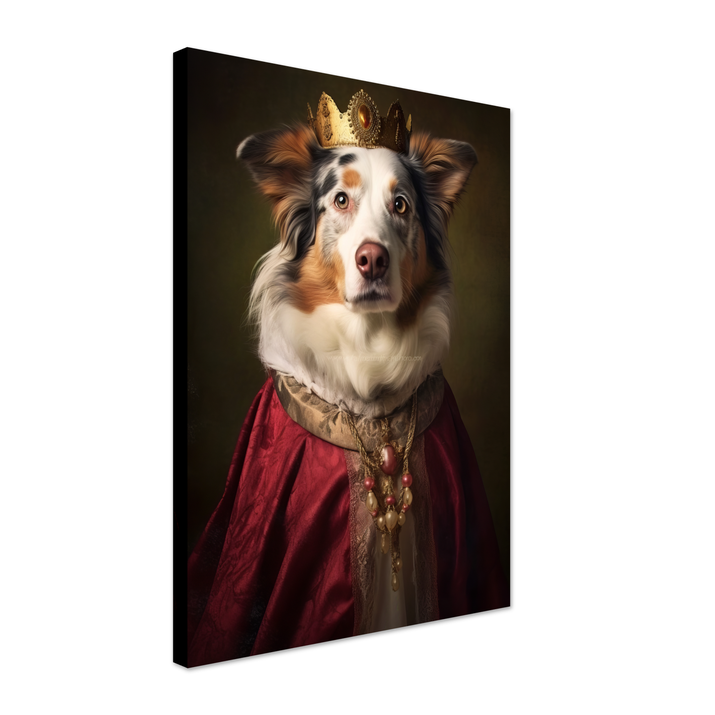 Australien Shepherd Renaissance (DOG336)