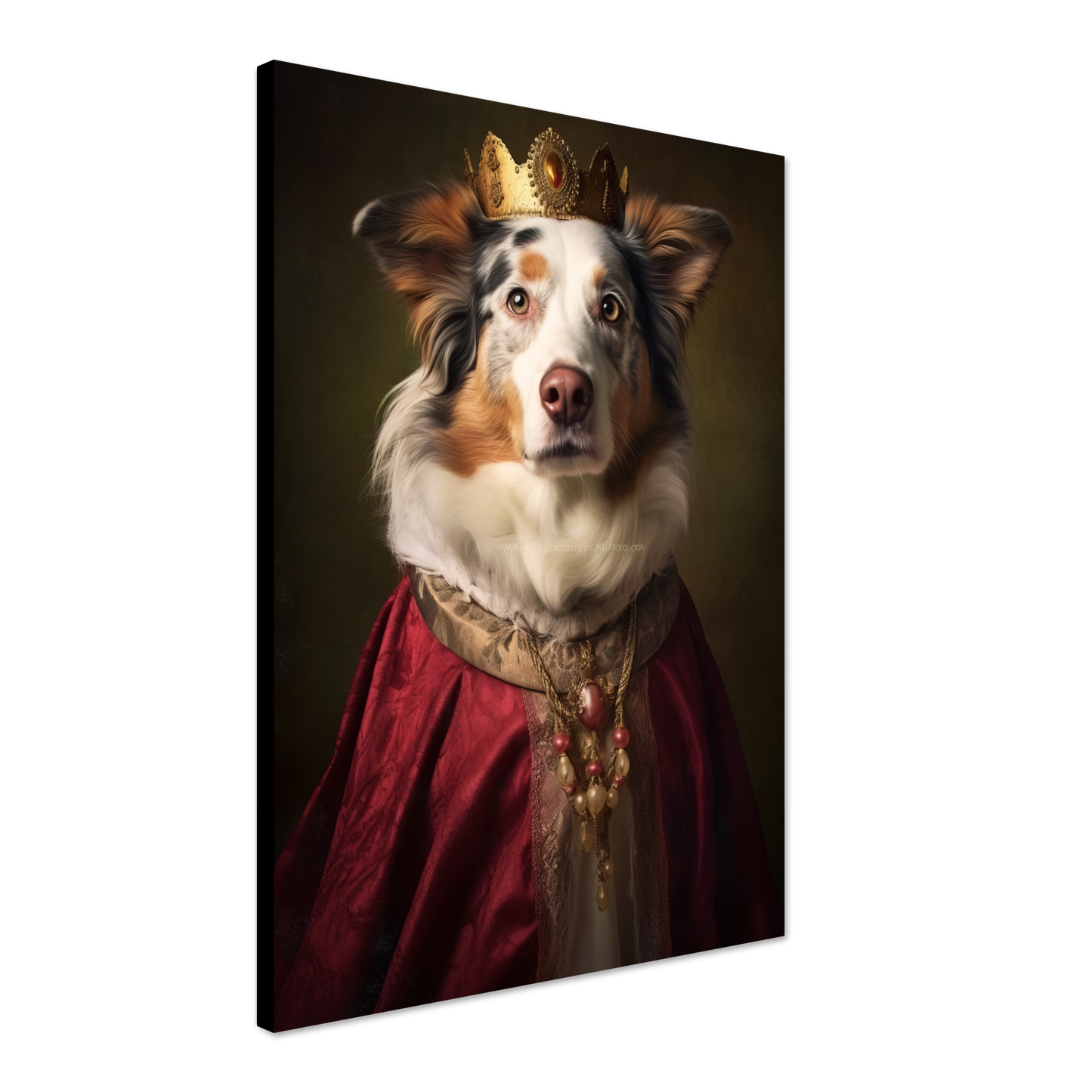 Australien Shepherd Renaissance (DOG336)