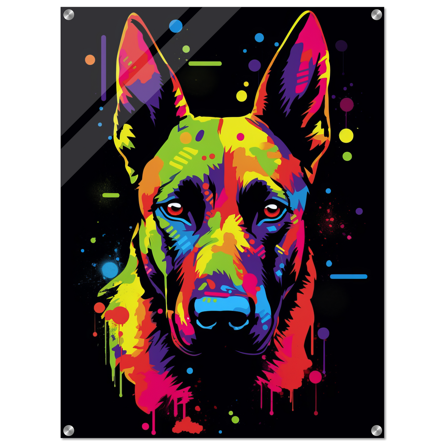 Malinois dog pop art (DOG338)