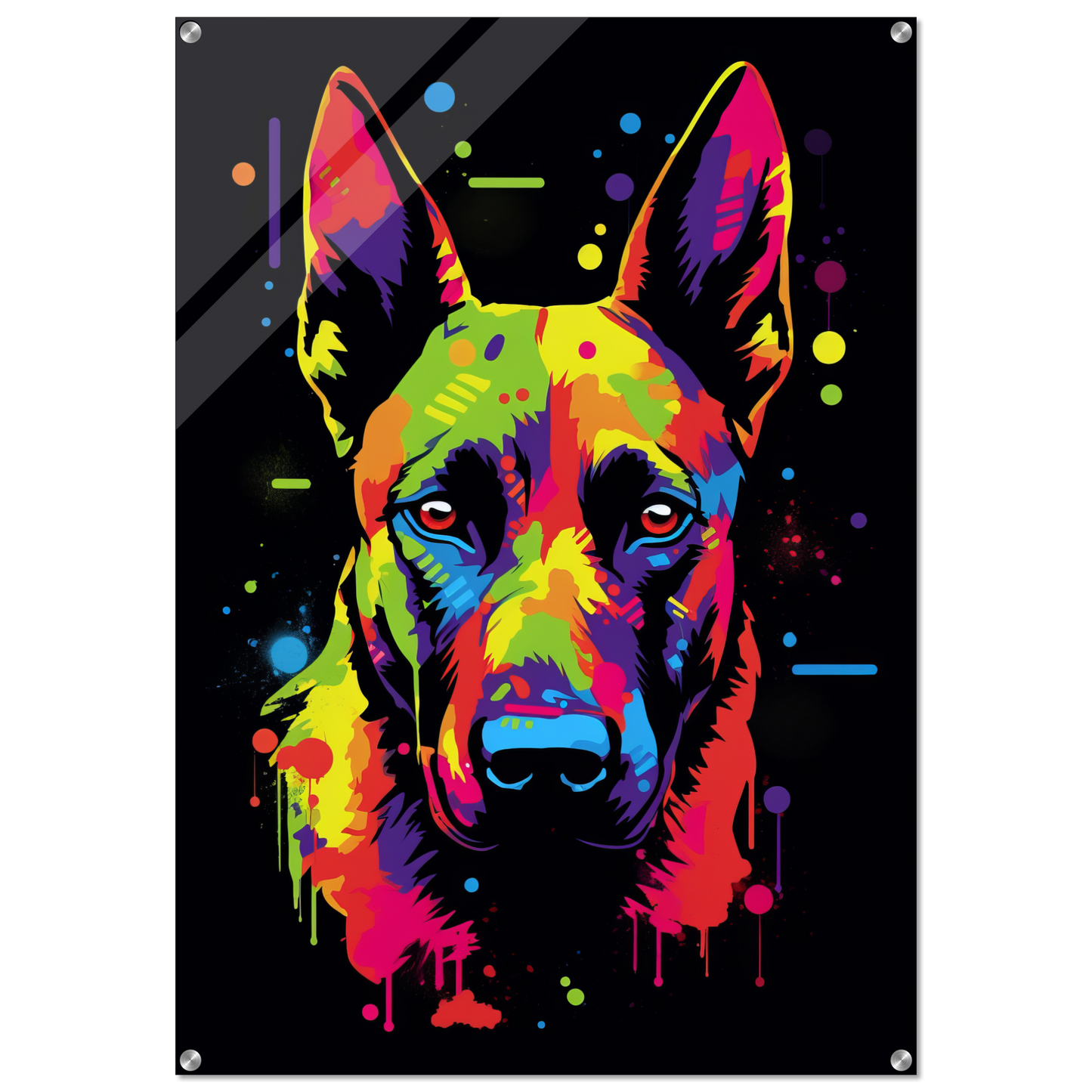 Malinois dog pop art (DOG338)