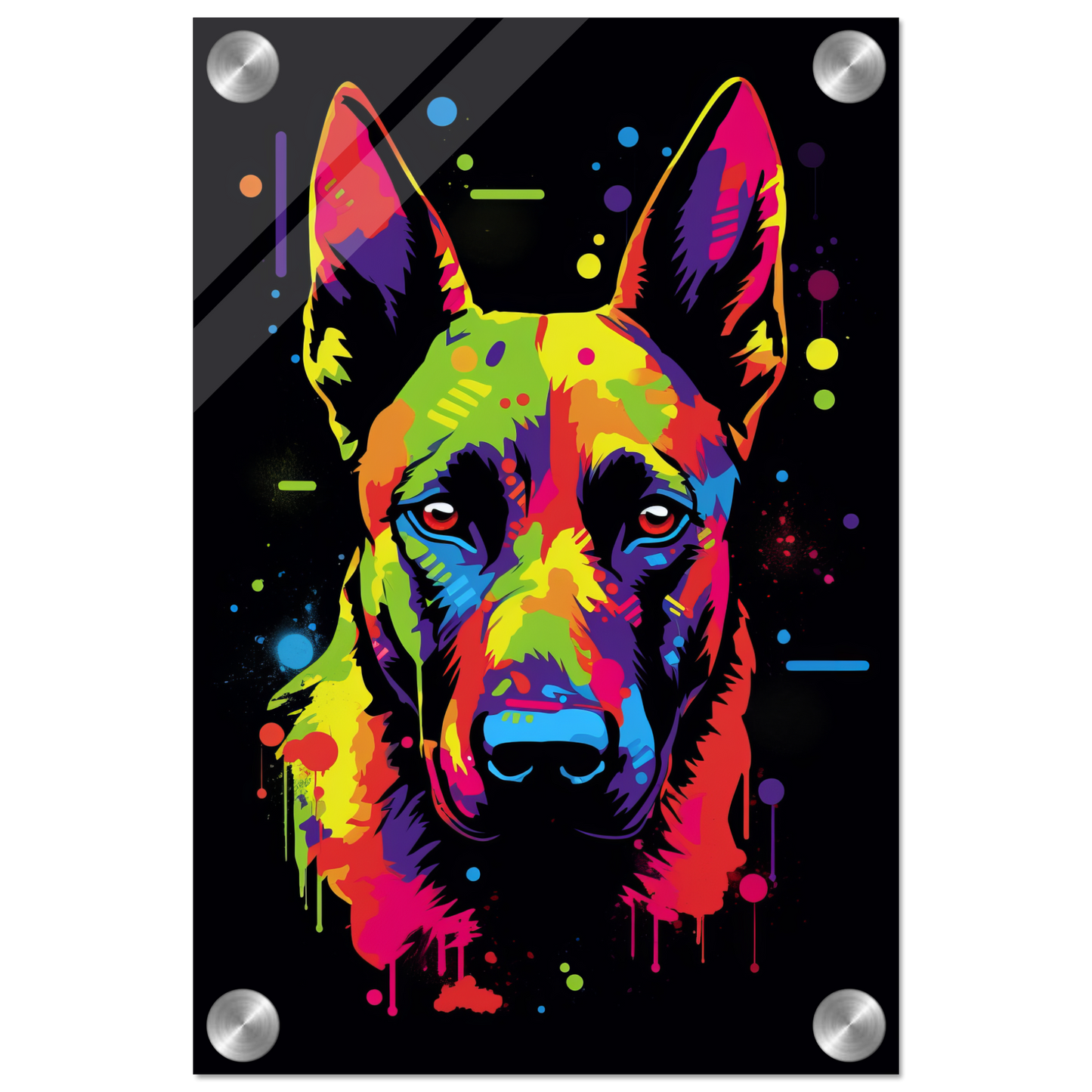 Malinois dog pop art (DOG338)