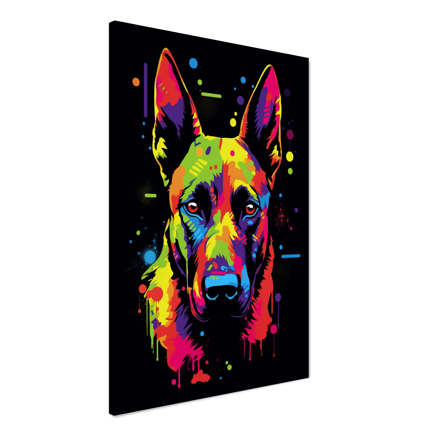 Malinois dog pop art (DOG338)