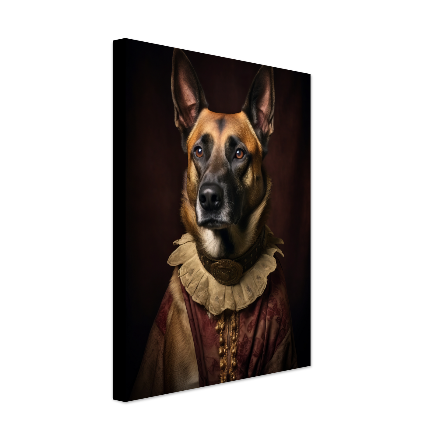 Malinois dog Renaissance (DOG346)