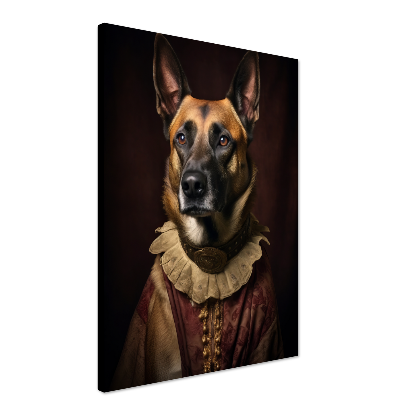 Malinois dog Renaissance (DOG346)