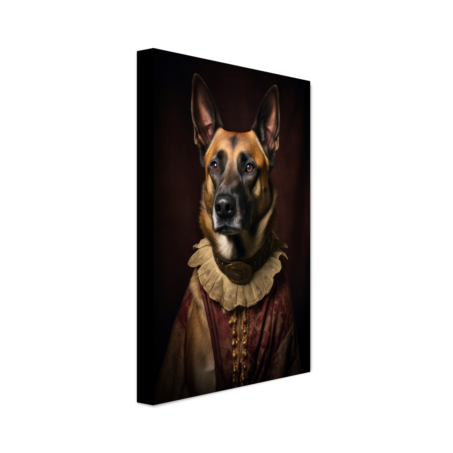 Malinois dog Renaissance (DOG346)