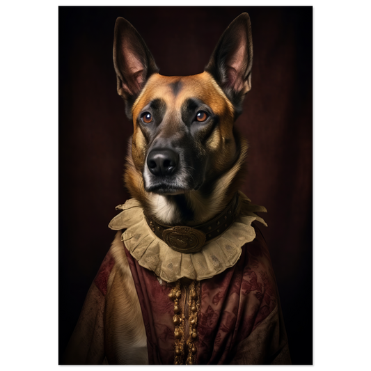 Malinois dog Renaissance (DOG346)