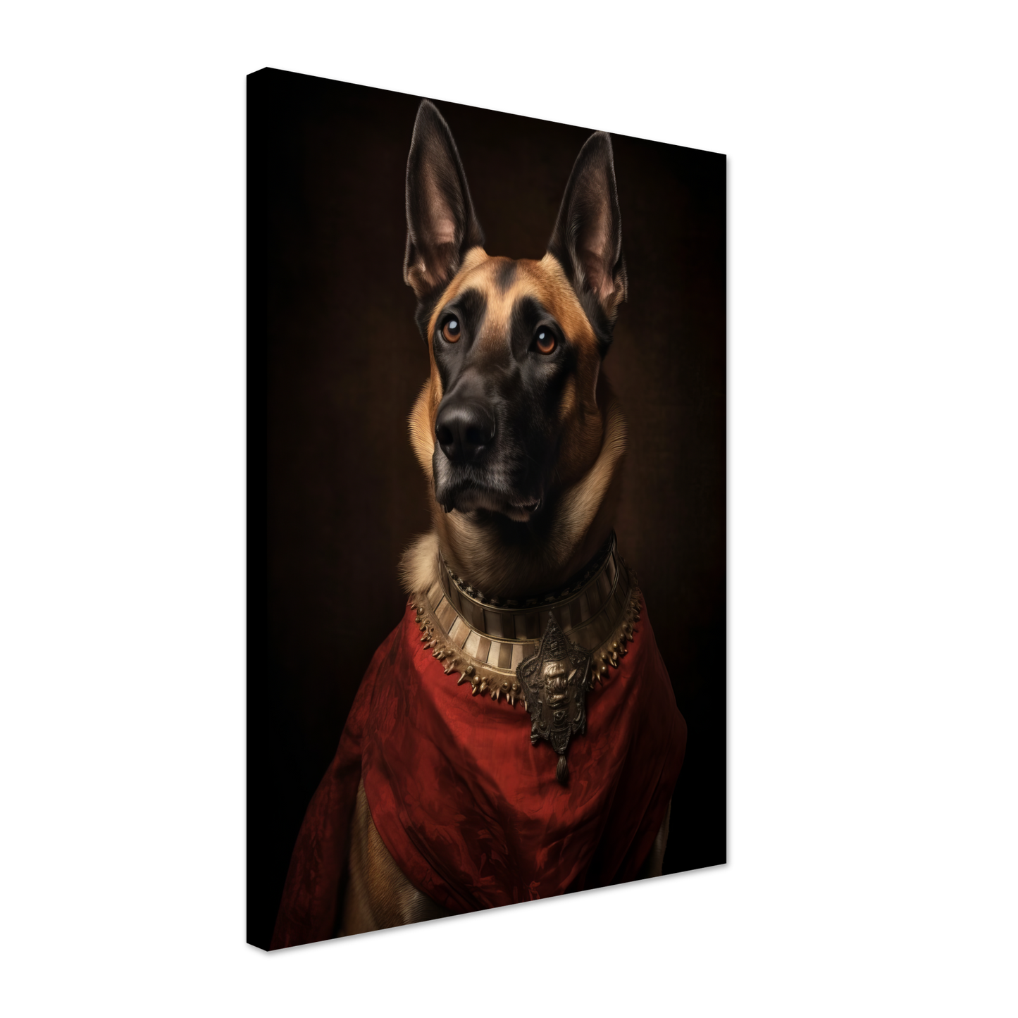 Malinois dog Renaissance (DOG348)
