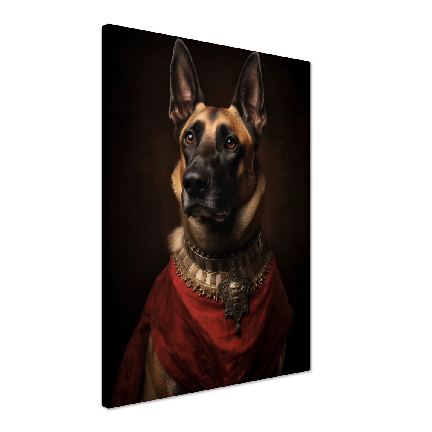 Malinois dog Renaissance (DOG348)