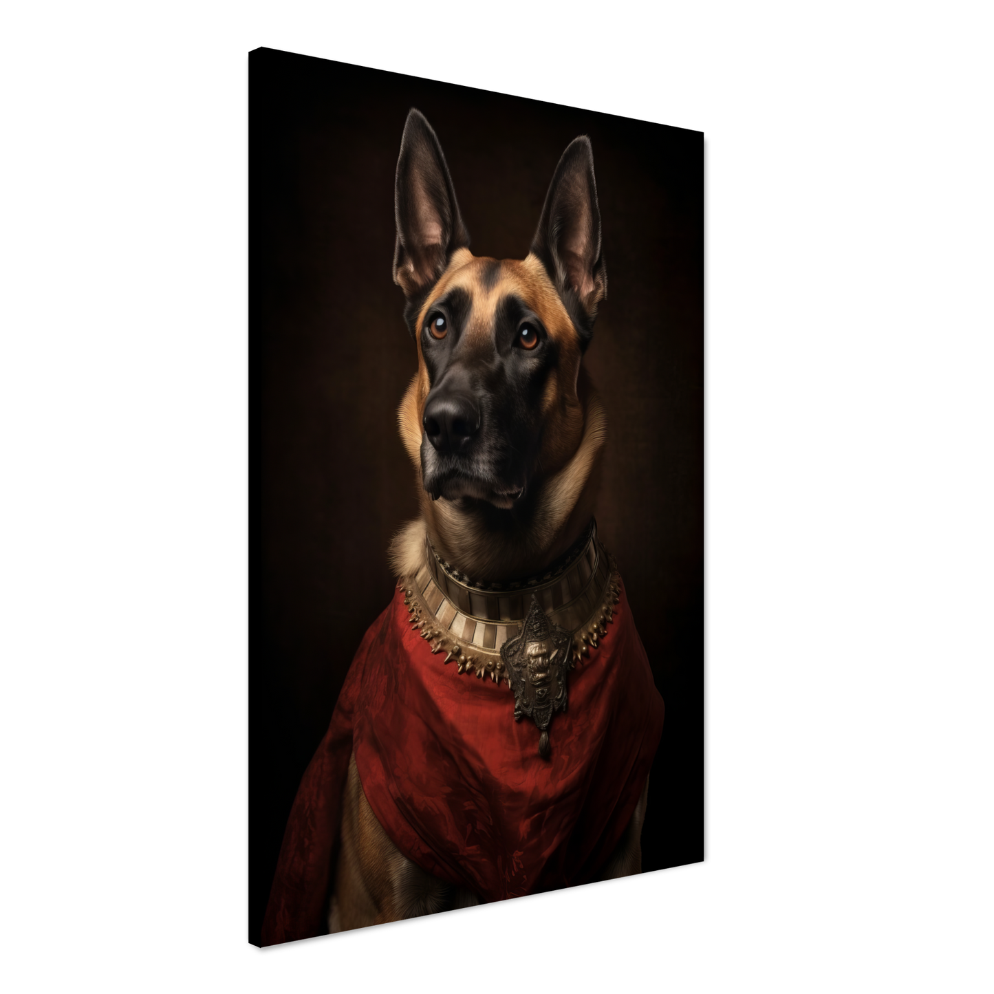 Malinois dog Renaissance (DOG348)