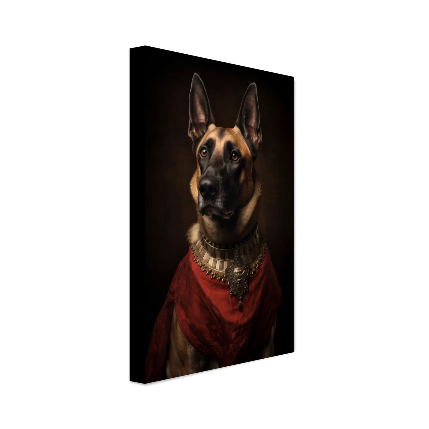 Malinois dog Renaissance (DOG348)