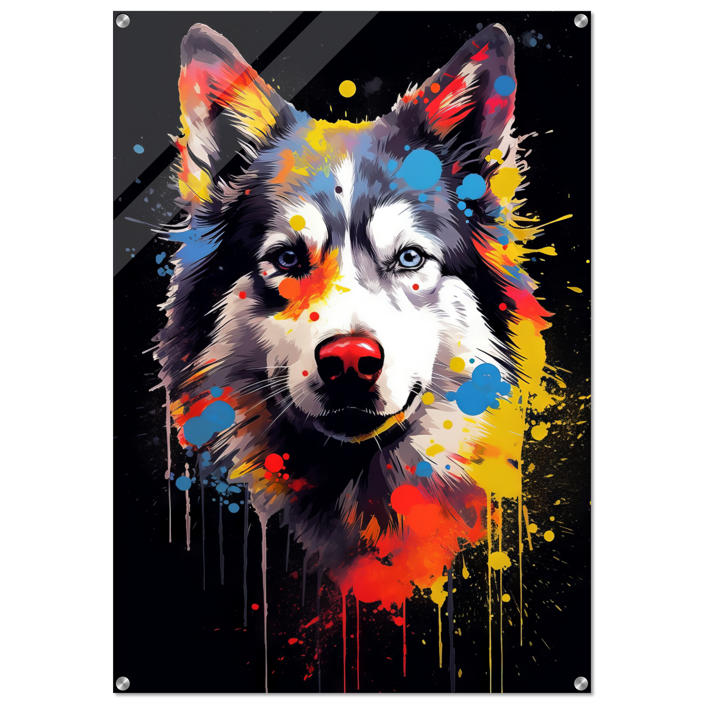 Dog Huskie Pop Art (DOG34)