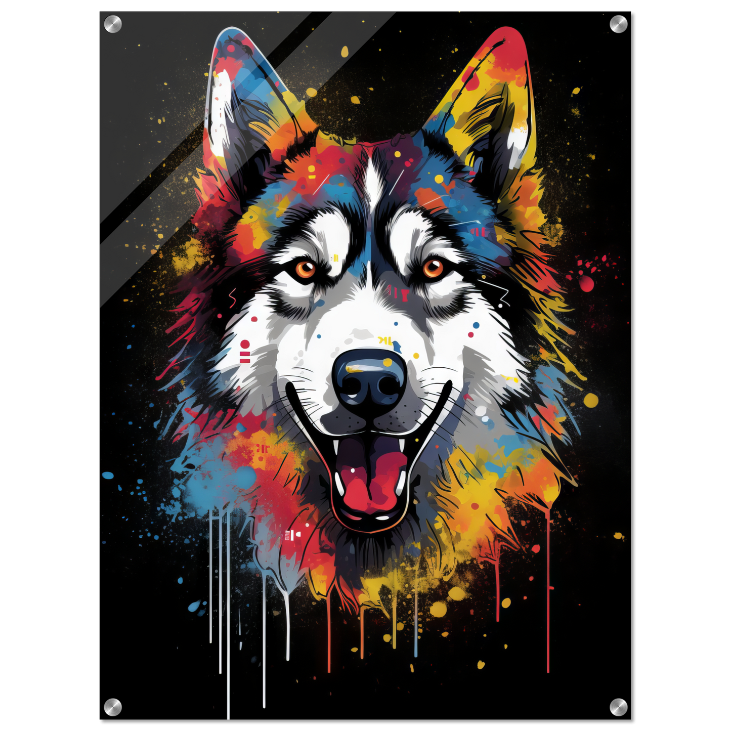 Dog Huskie Pop Art (DOG35)