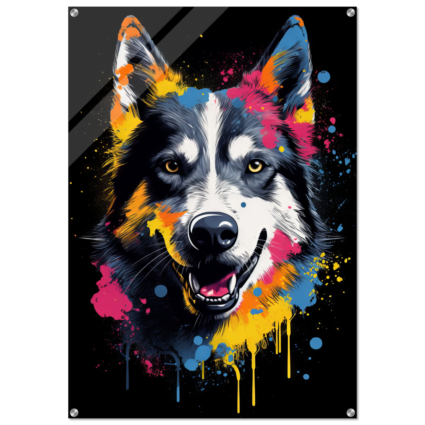 Dog Huskie Pop Art (DOG36)