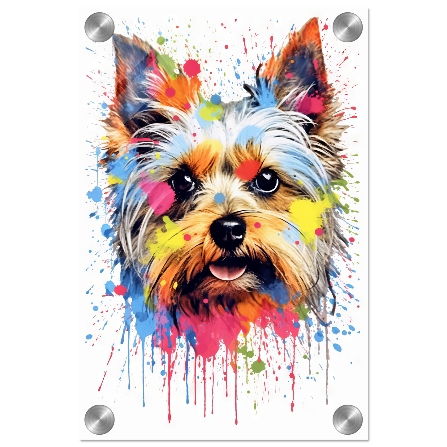 Dog Yorkshire Terrier Pop Art (DOG53)