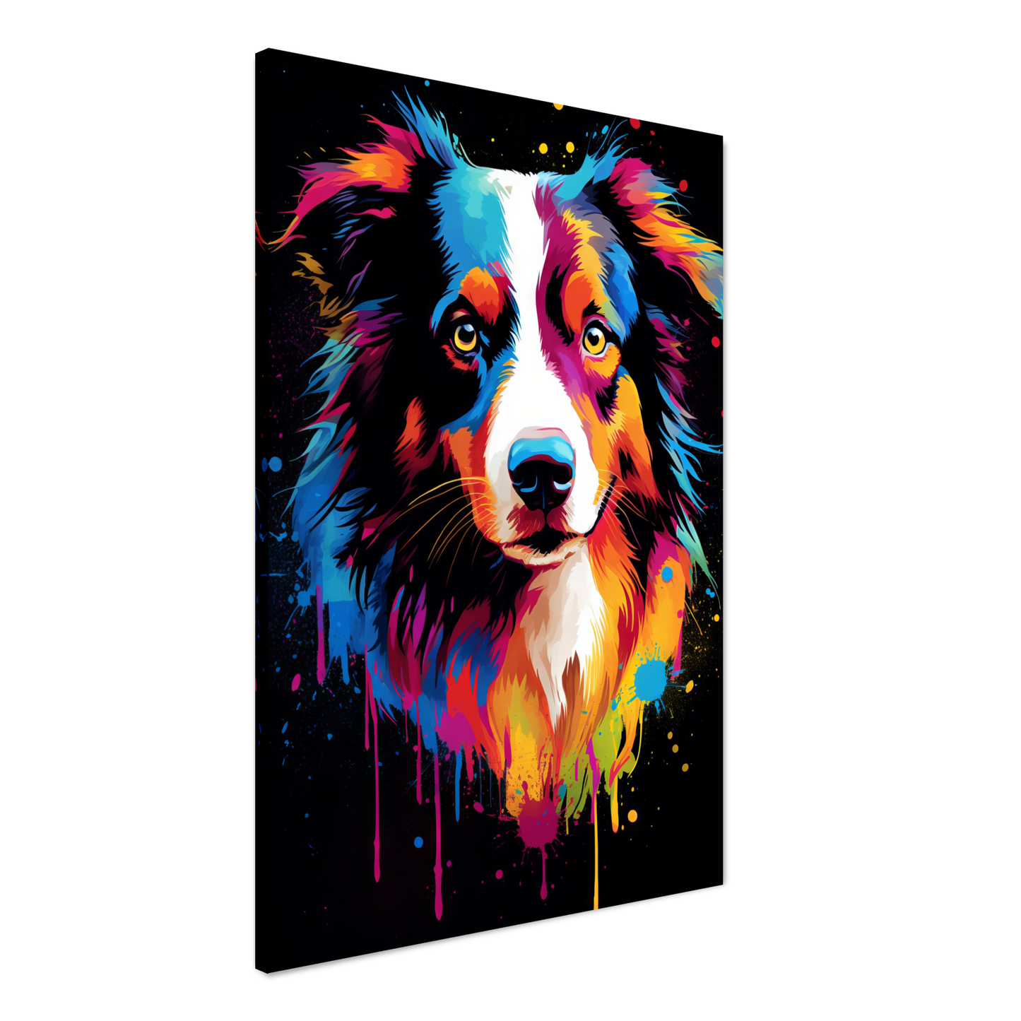 Dog collie pop art (DOG81)