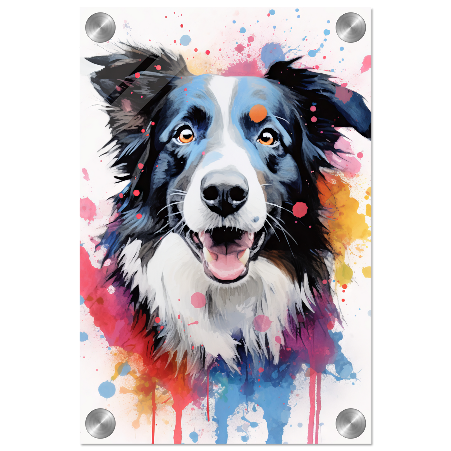 Dog collie pop art (DOG86)