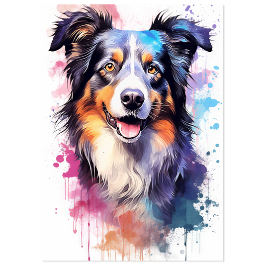 Dog collie pop art (DOG87)