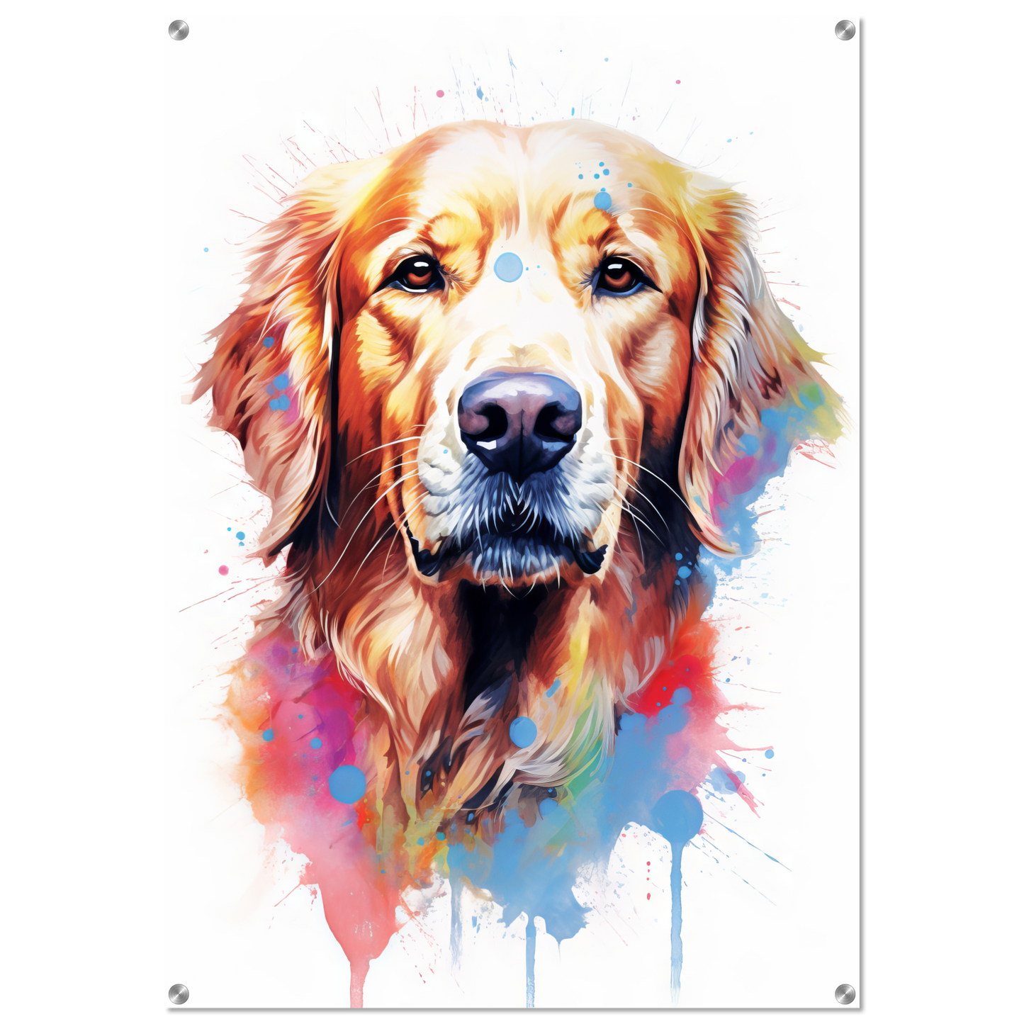 Dog Golden Retriever Pop Art (DOG98)