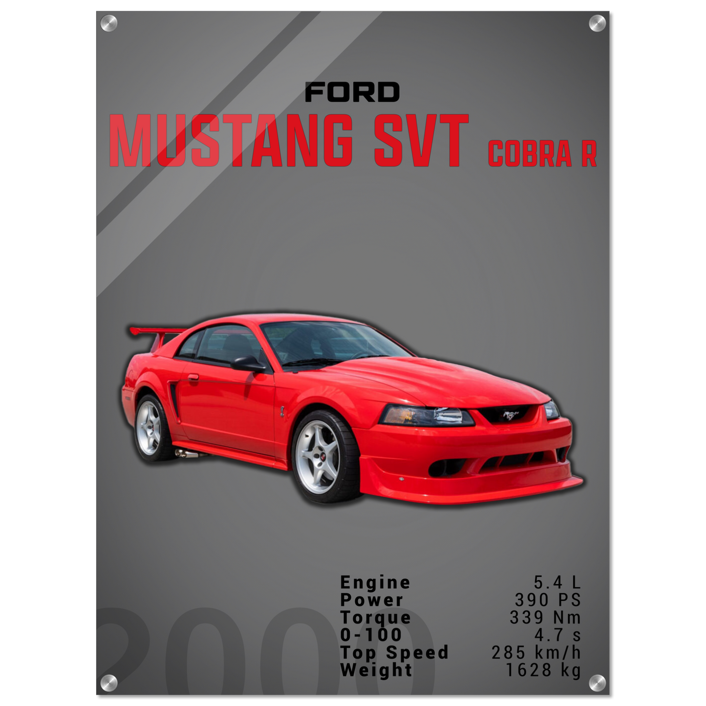 Ford Mustang 2000 SVT Cobra R (MUSTANG19D)