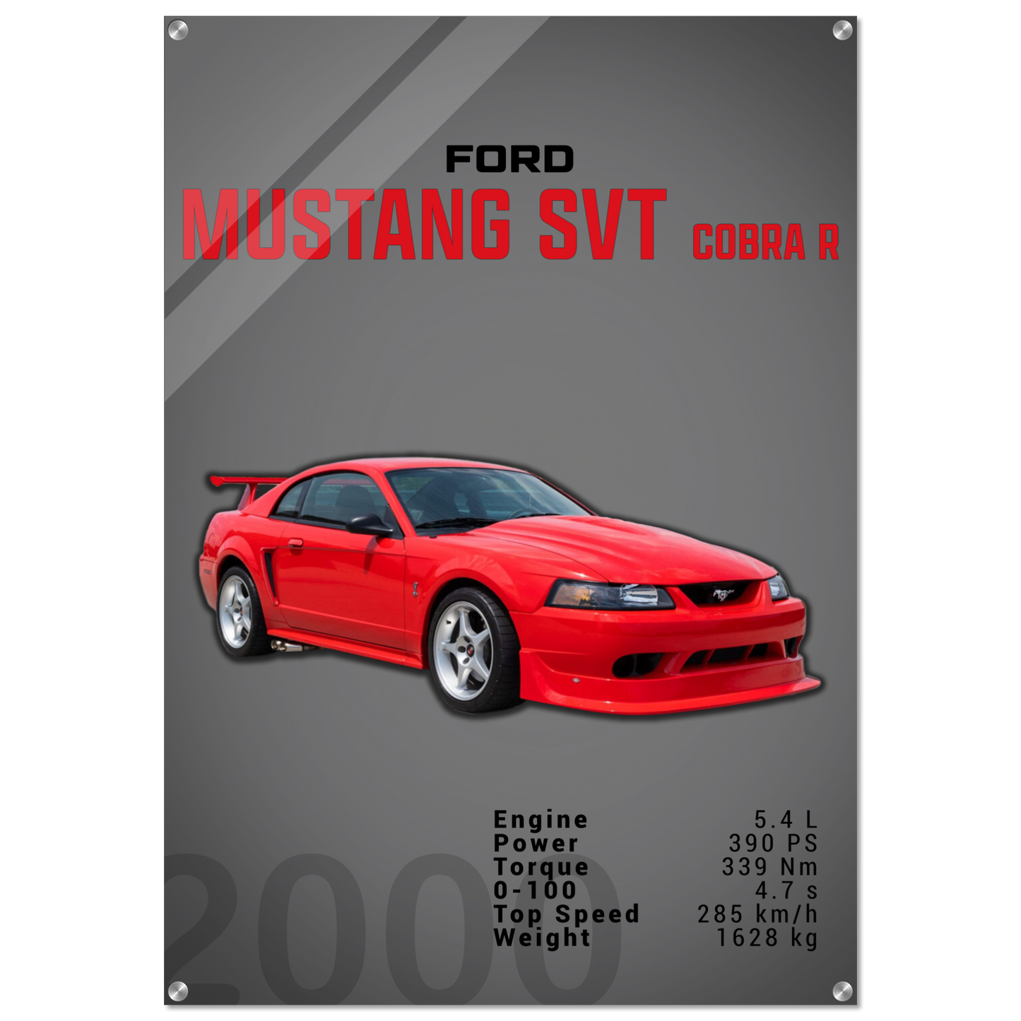Ford Mustang 2000 SVT Cobra R (MUSTANG19D)