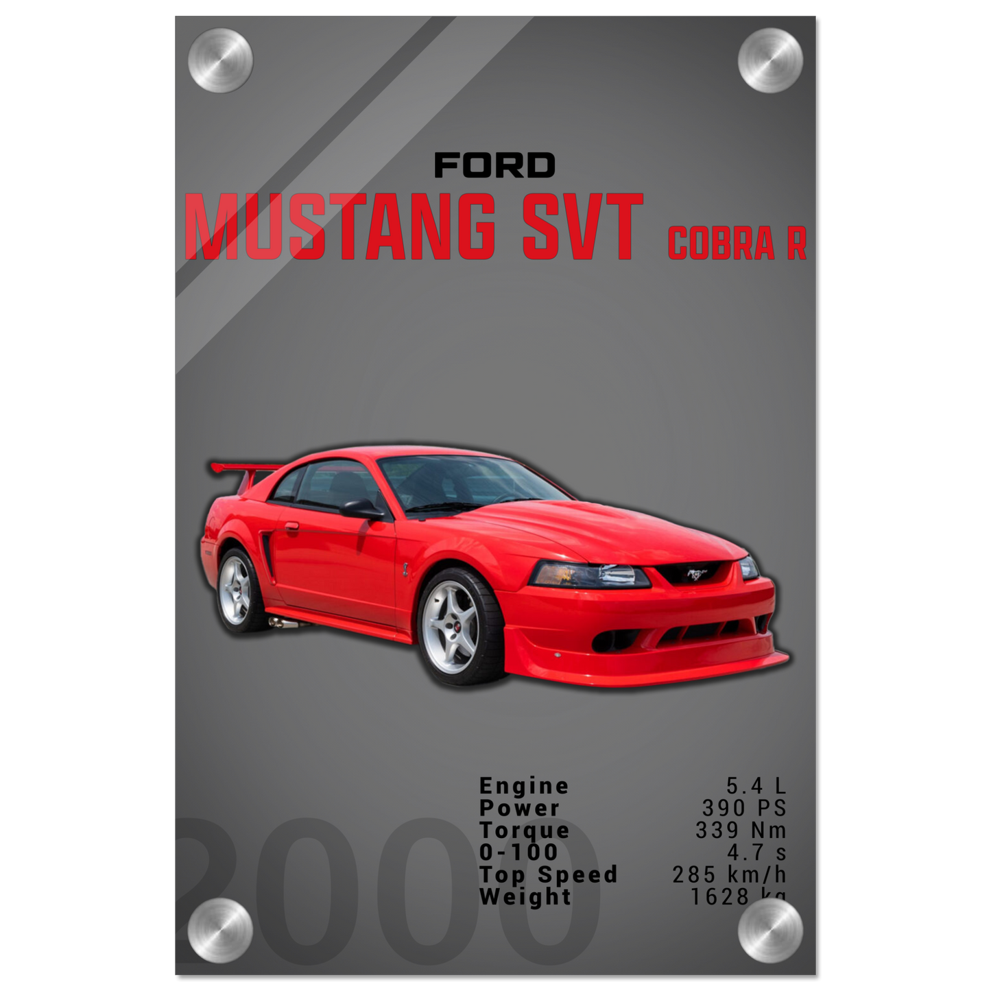 Ford Mustang 2000 SVT Cobra R (MUSTANG19D)