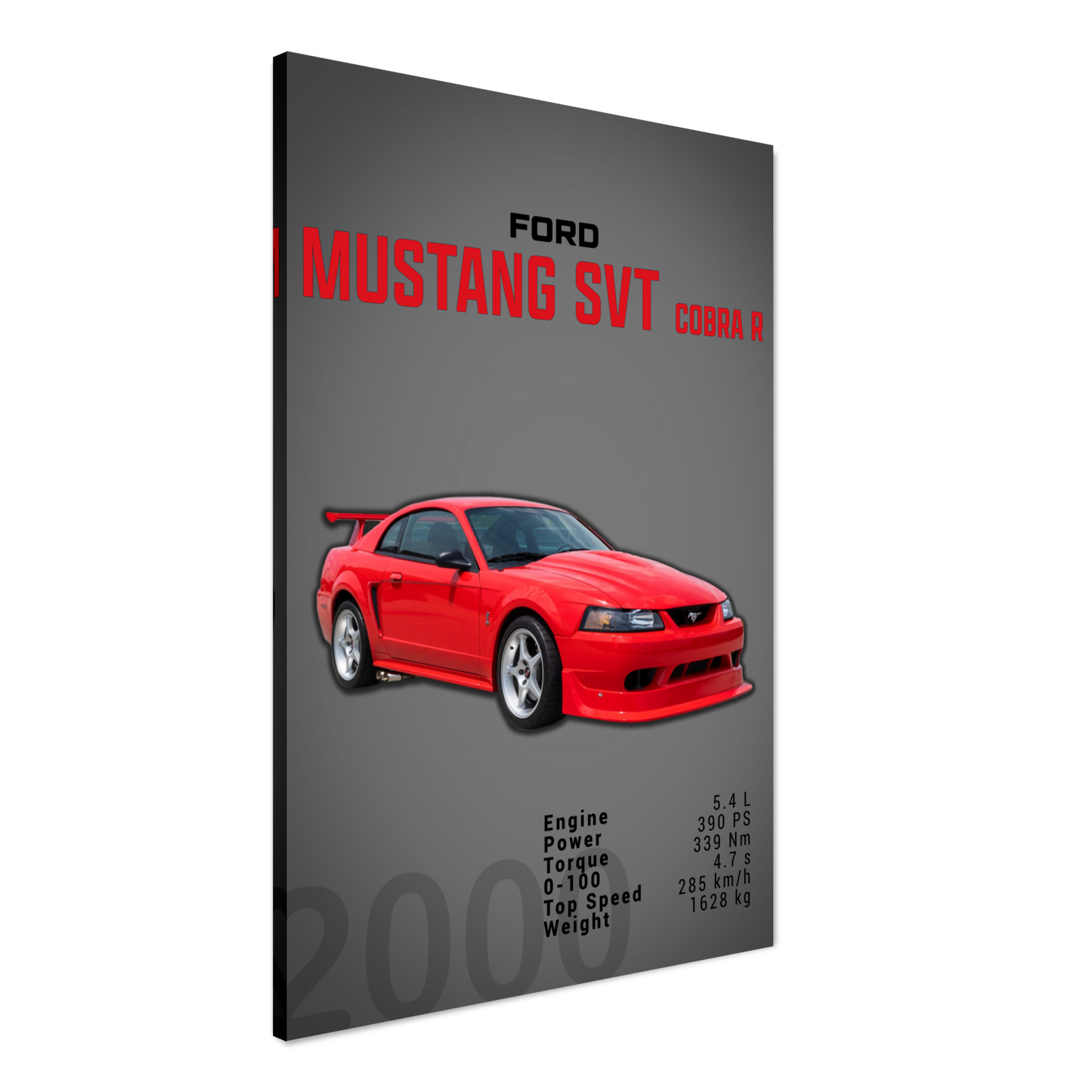 Ford Mustang 2000 SVT Cobra R (MUSTANG19D)
