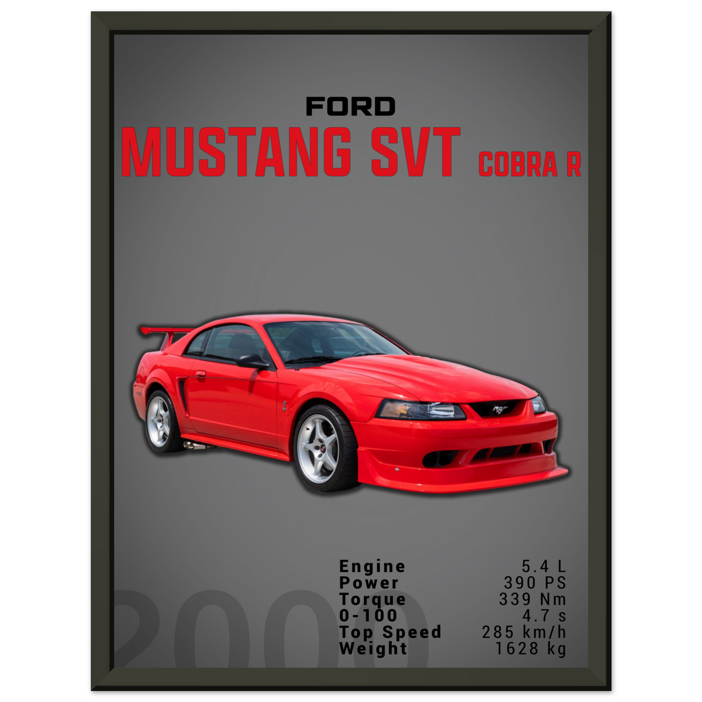 Ford Mustang 2000 SVT Cobra R (MUSTANG19D)