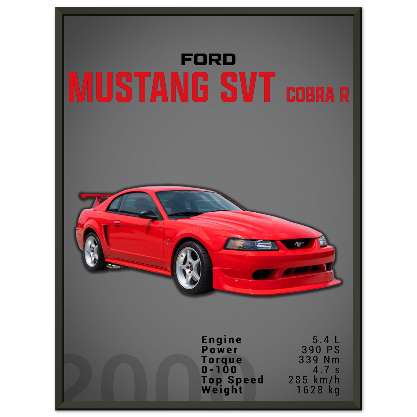 Ford Mustang 2000 SVT Cobra R (MUSTANG19D)
