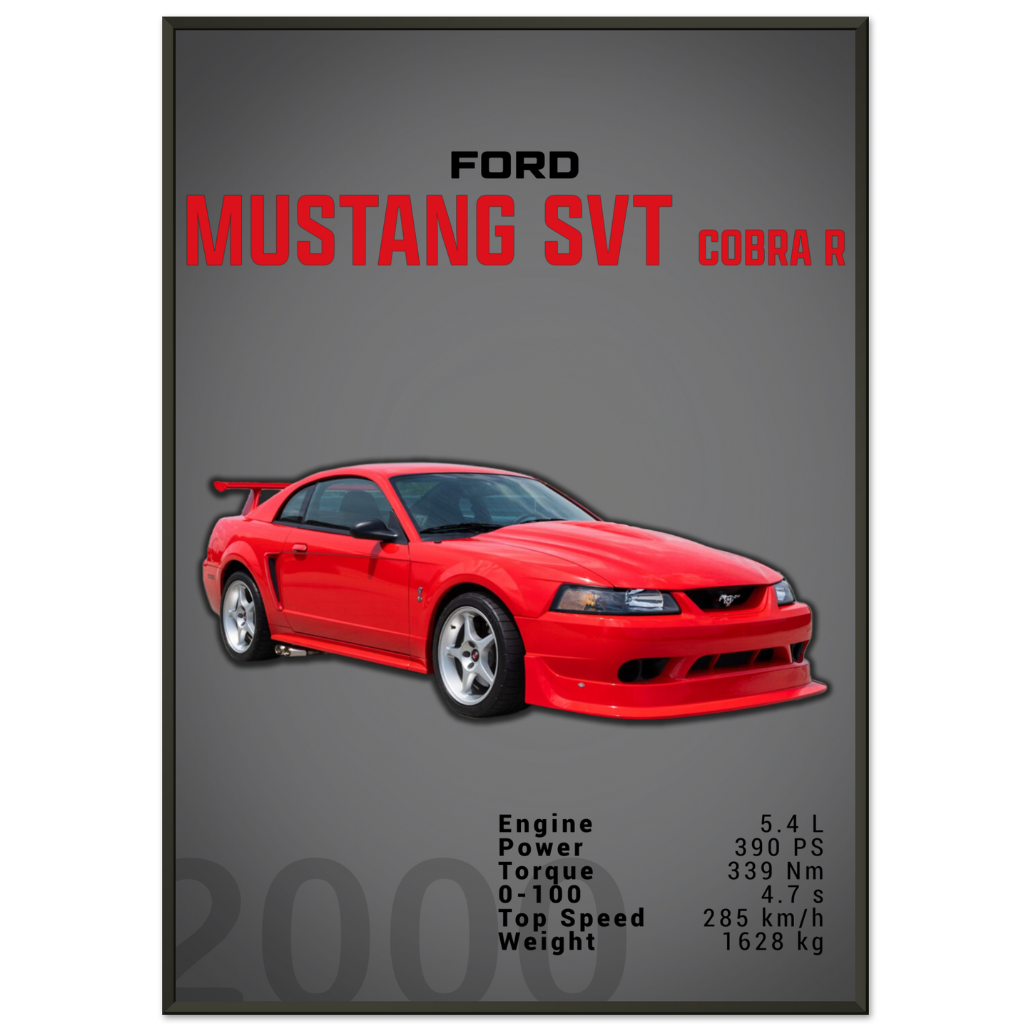 Ford Mustang 2000 SVT Cobra R (MUSTANG19D)