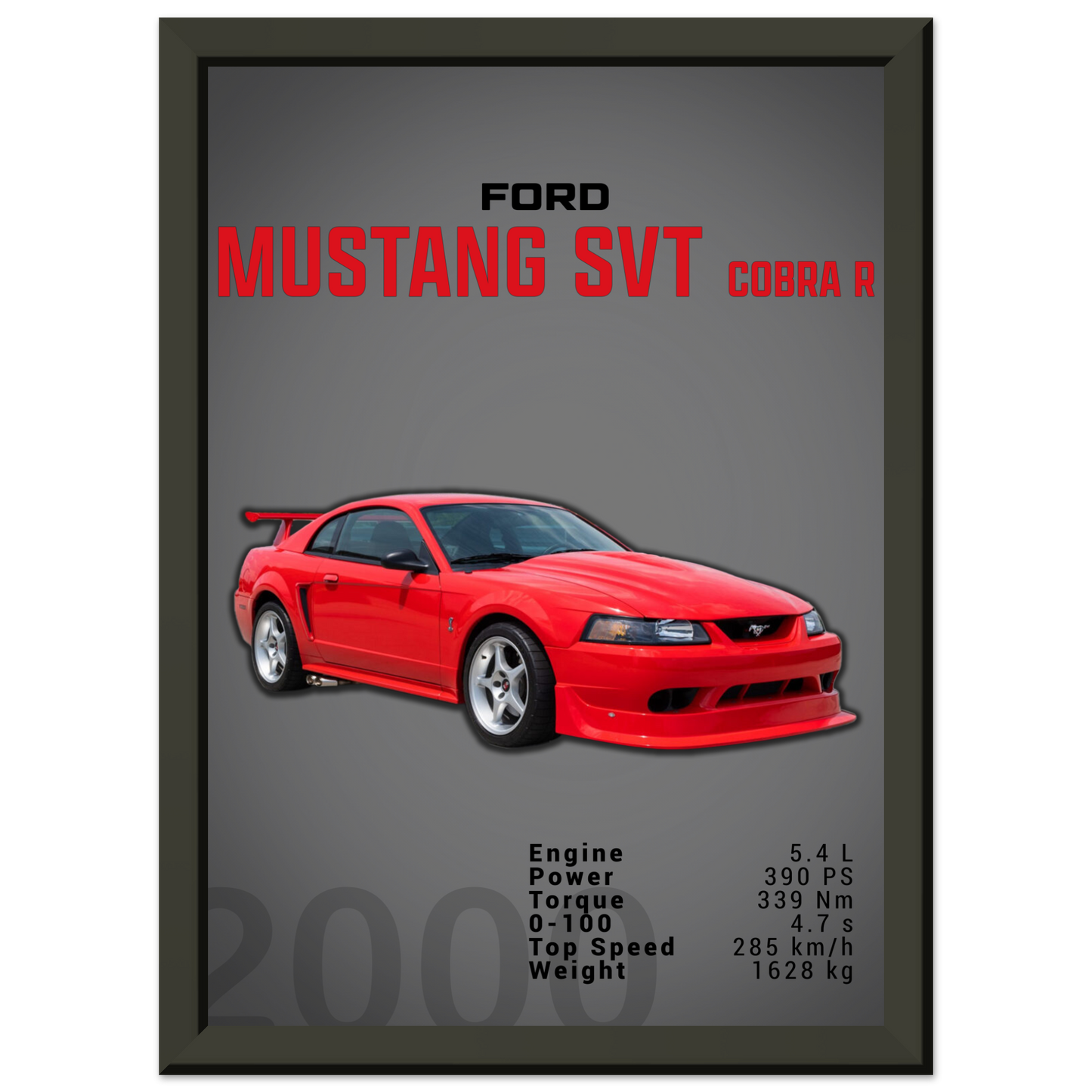 Ford Mustang 2000 SVT Cobra R (MUSTANG19D)