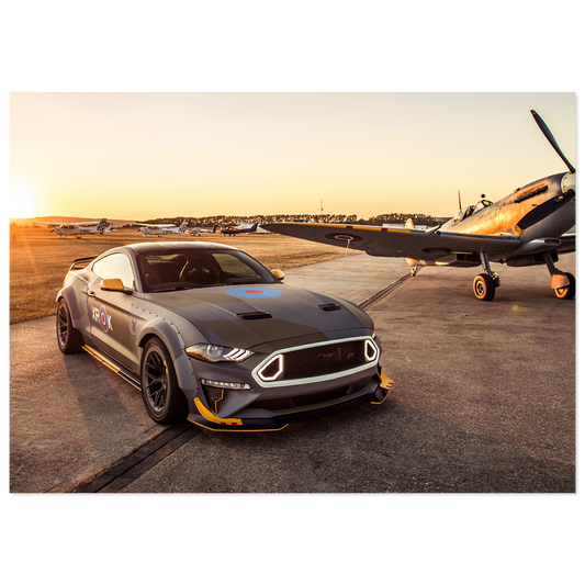 Ford Mustang 2019 RTR WideBody (MUSTANG24)