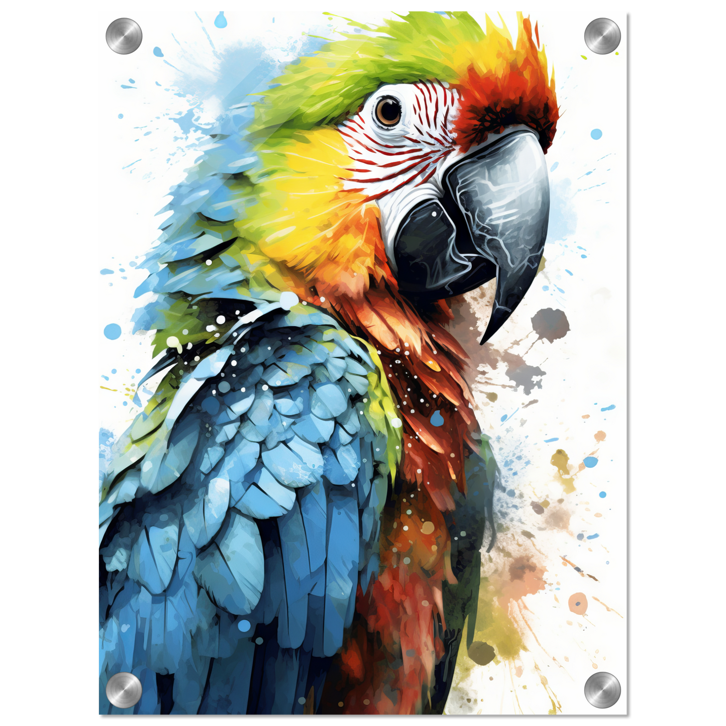 Bird parrot pop art (BIRD32)