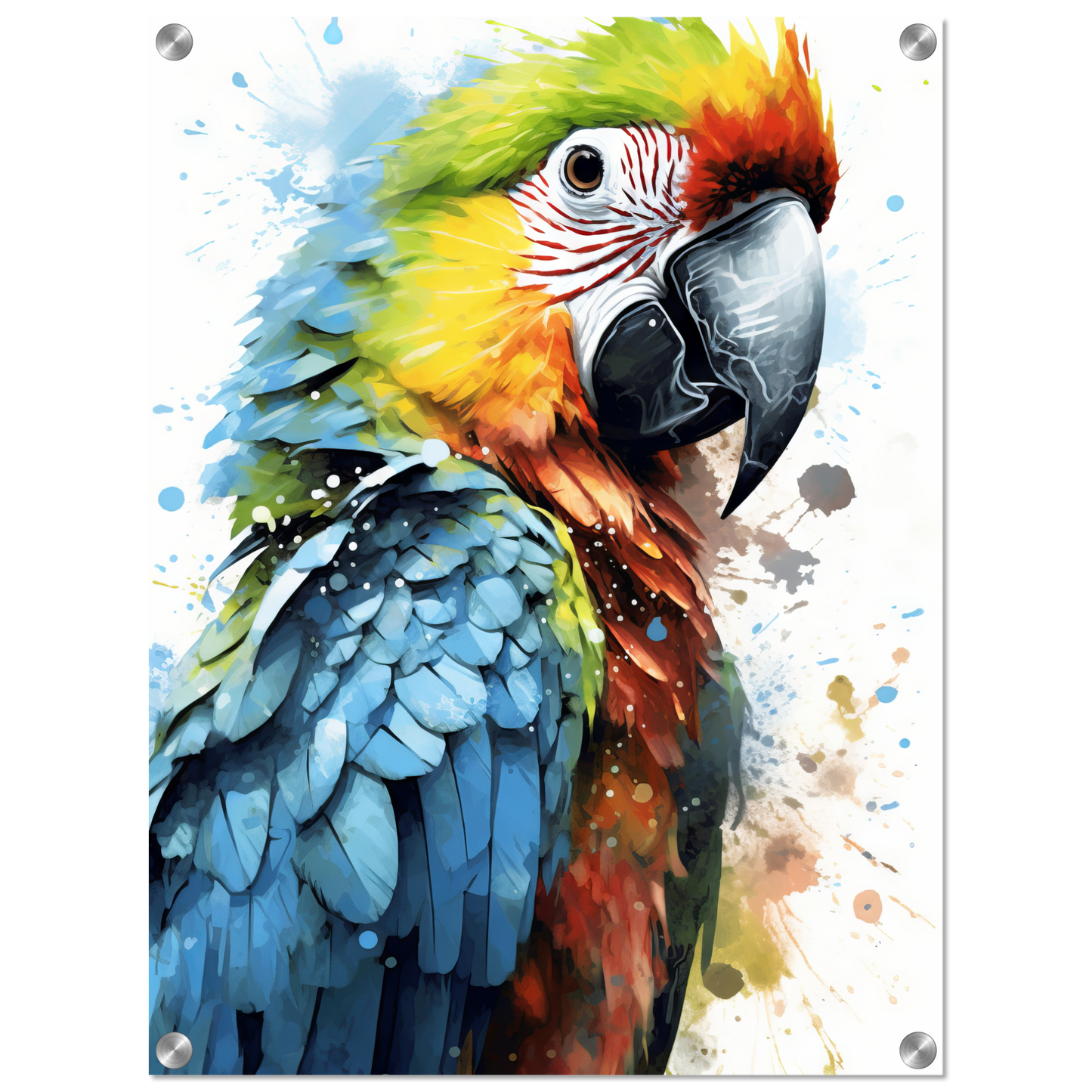 Bird parrot pop art (BIRD32)
