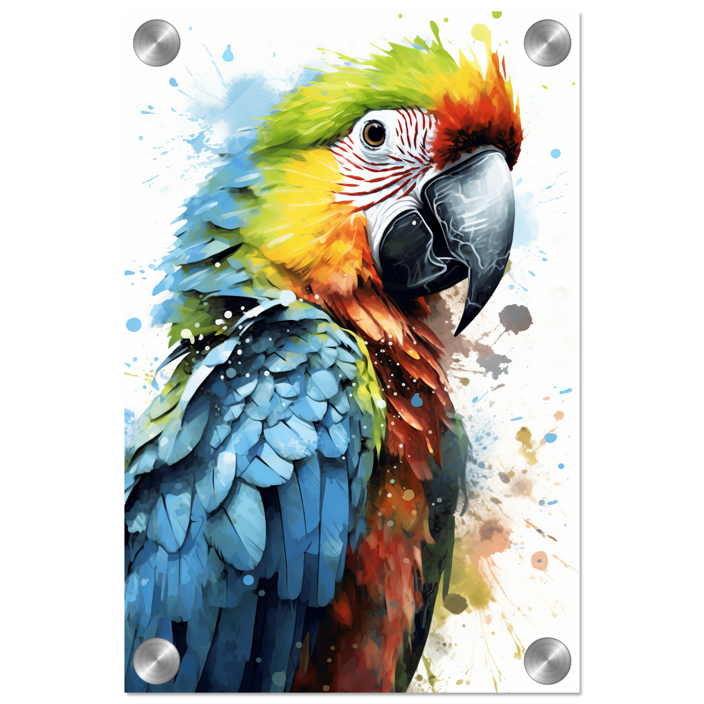 Bird parrot pop art (BIRD32)