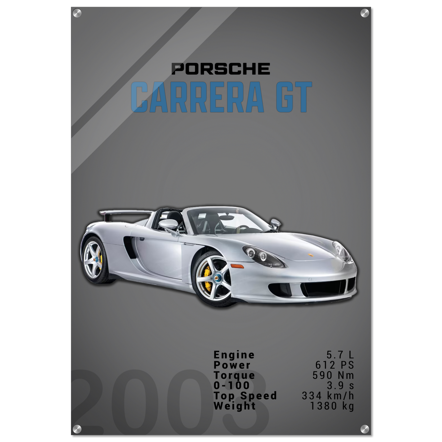 Porsche Carrera GT (PORSCHE04D)