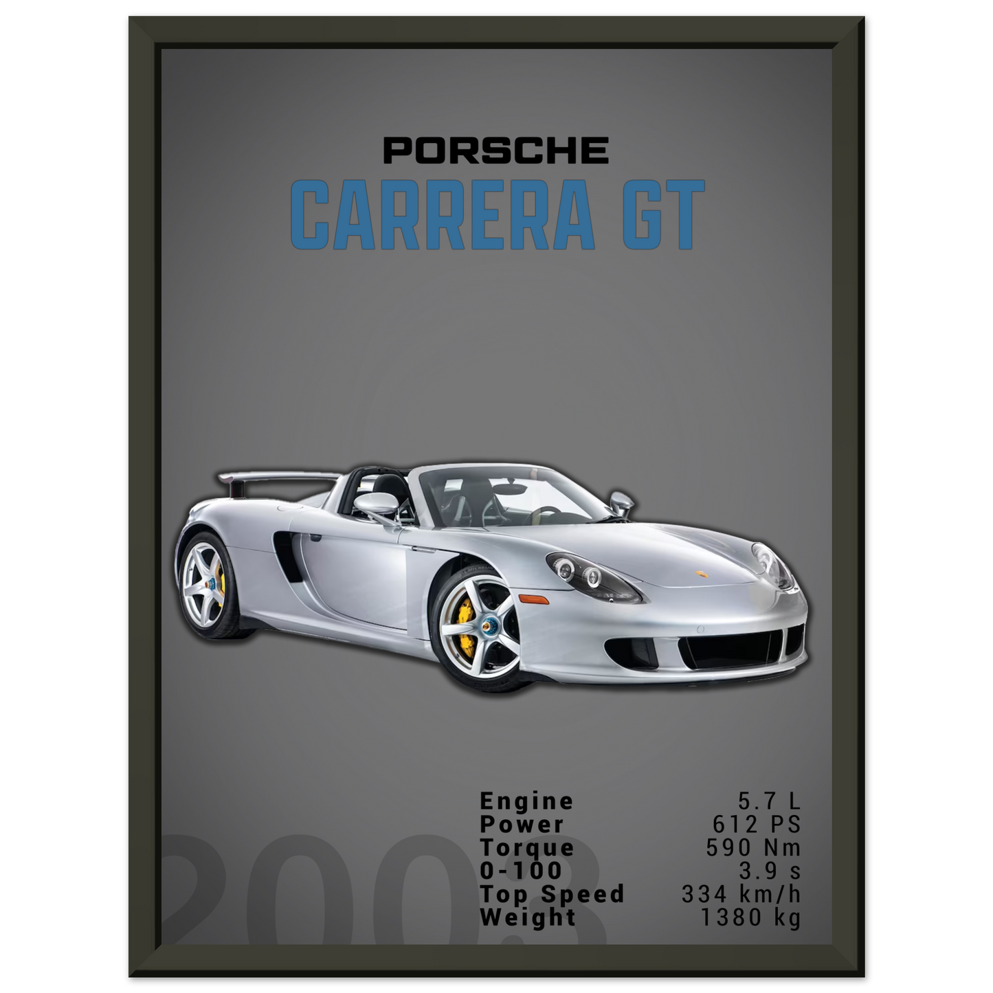 Porsche Carrera GT (PORSCHE04D)