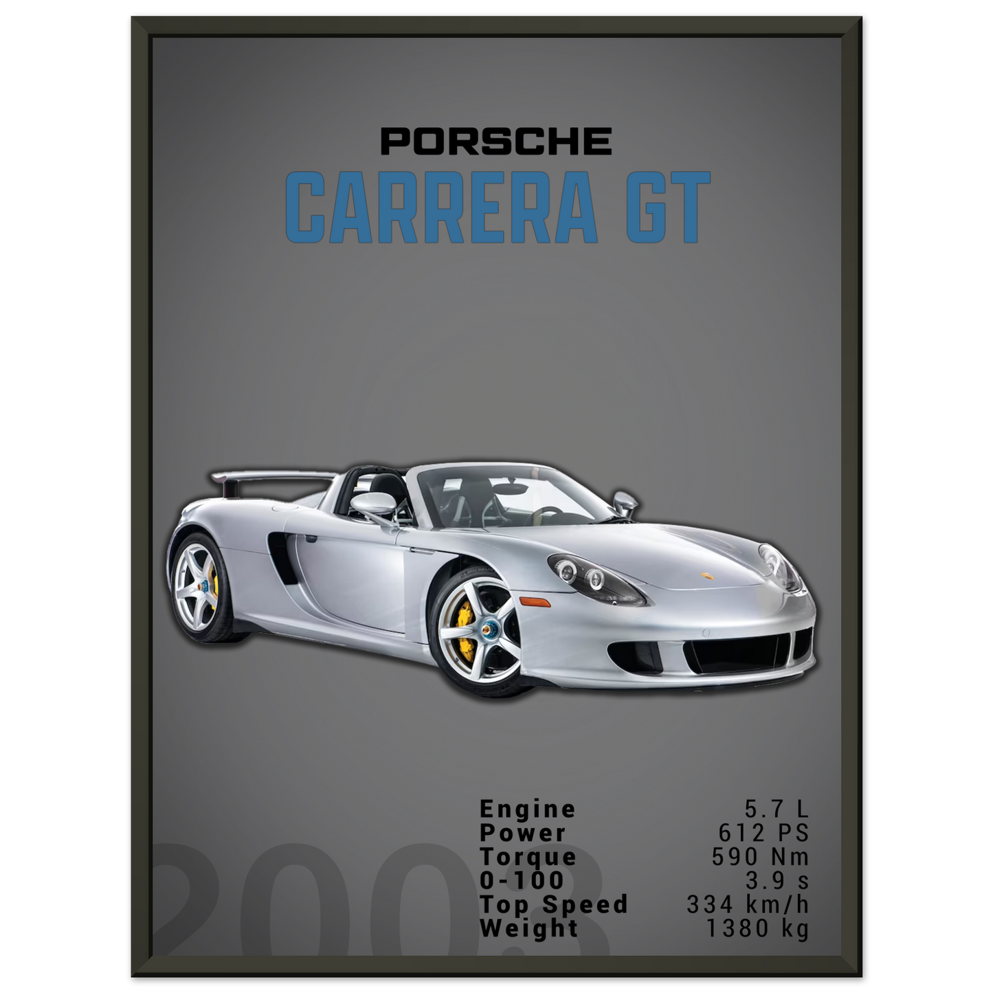 Porsche Carrera GT (PORSCHE04D)